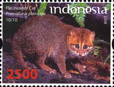 Flachkopfkatze (Prionailurus planiceps) auf einer Briefmarke in Indonesien