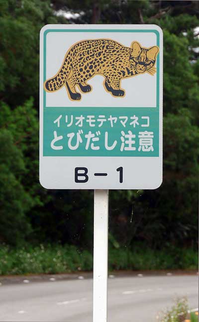 Verkehrsschild: Vorsicht! Iriomote-Katzen
