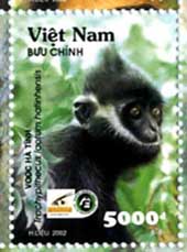 Hatinh-Langur (Trachypithecus hatinhensis) - biologie-seite.de auf einer vietnamesischen Briefmarke